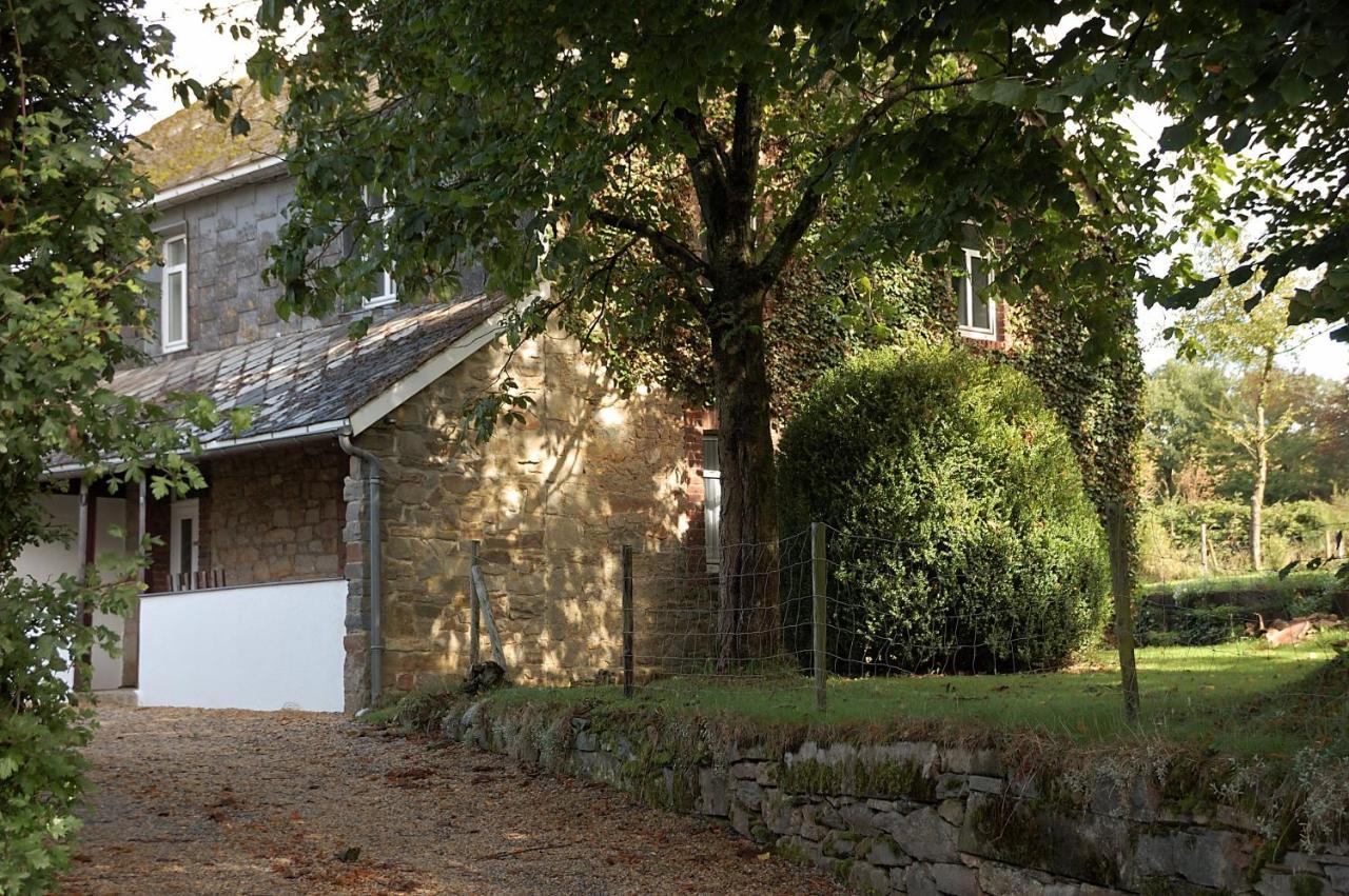 Ruhiges, gemütliches Ferienhaus mit großem Garten Weismes Exterior foto